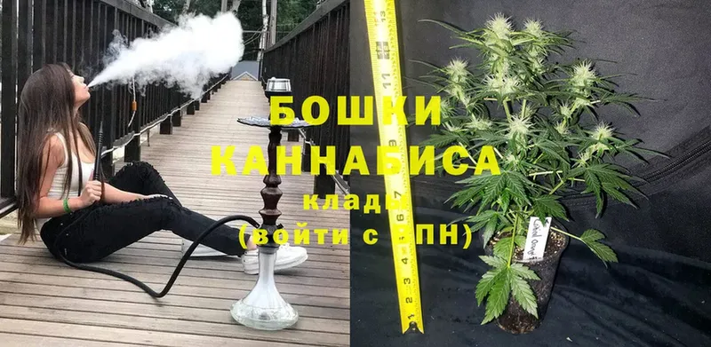 Каннабис SATIVA & INDICA  Верещагино 